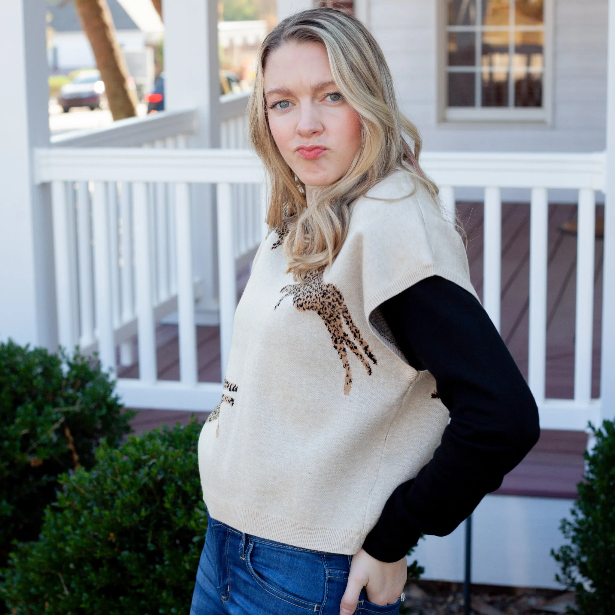 Chic Cheetah Sweater Top