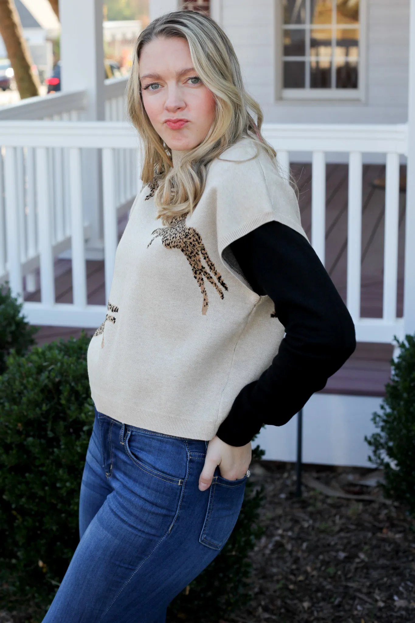 Chic Cheetah Sweater Top