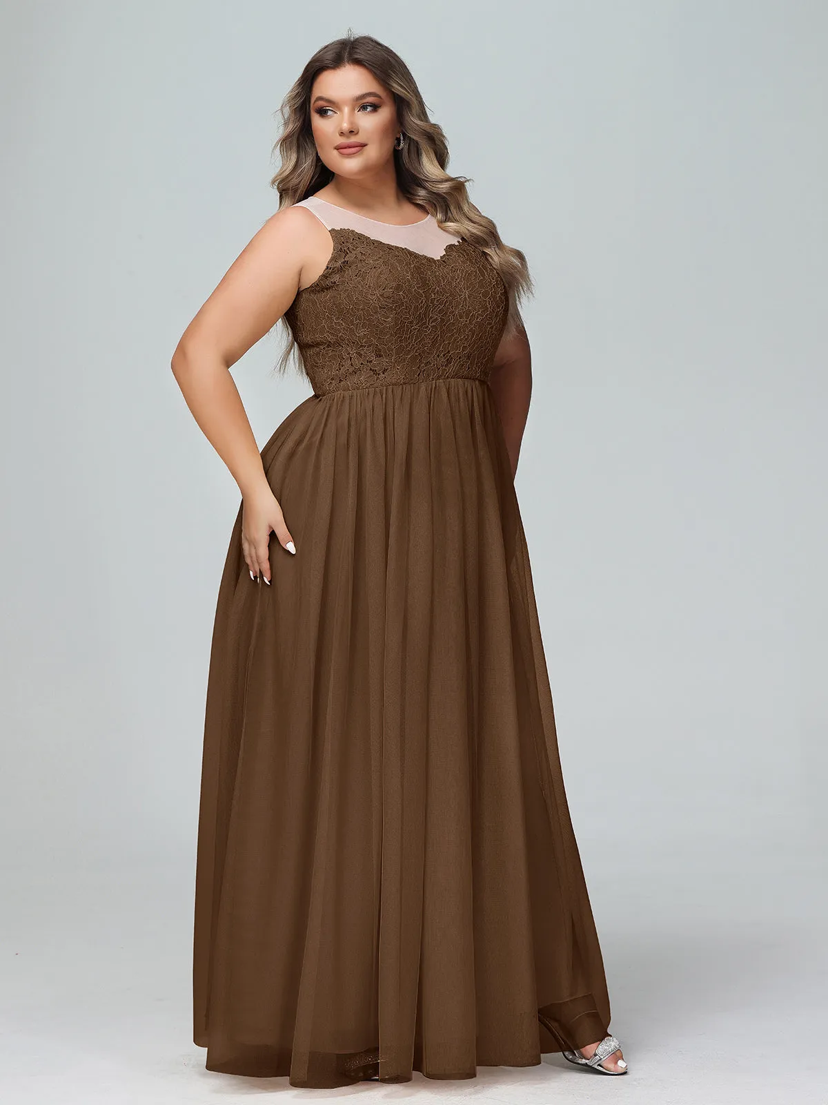 Illusion Neckline Lace and Tulle Maxi Dress-Brown Plus Size