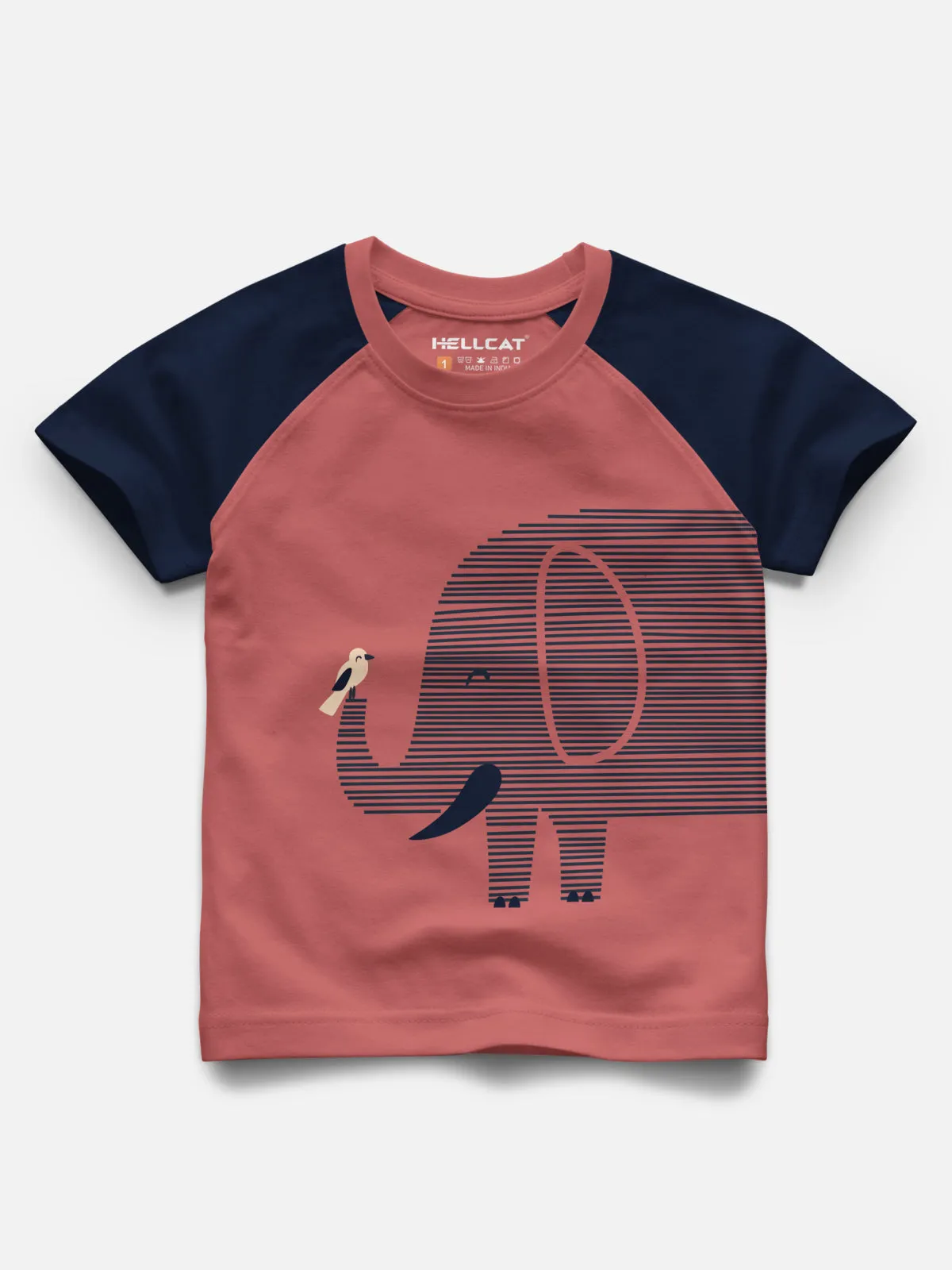 Raglan Half Sleeve Printed Tshirt with Comfy Solid Shorts for Infants & Boys - Pack of 2 (1 Tshirt & 1 Shorts)
